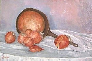 Cipolle cm.30x35
